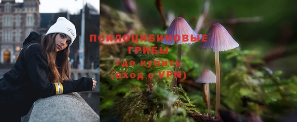 а пвп мука Корсаков